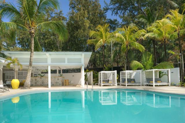 Tropical Attitude 1 (4)