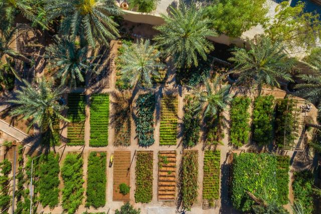 Six Senses Zighy Bay 3 (6)