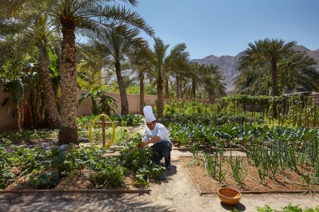 Six Senses Zighy Bay 3 (7)