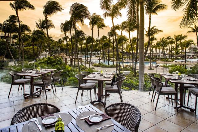 hilton aruba (8)