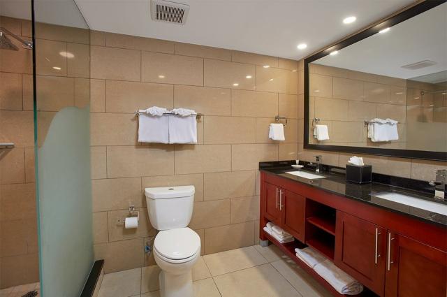 Divi Village Golf and Beach 6 (7)