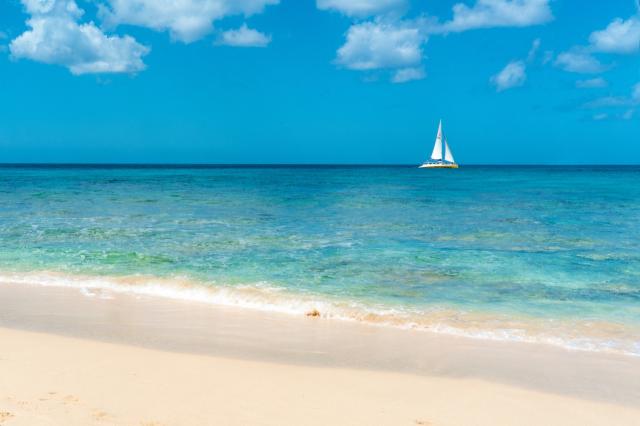 Coral Reef Club 3 (2)