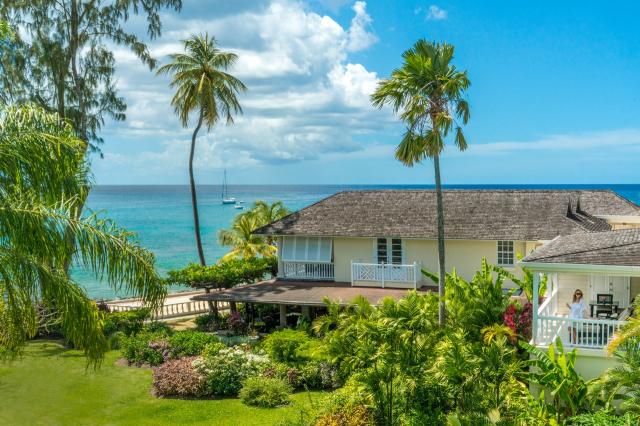 Coral Reef Club 1 (4)