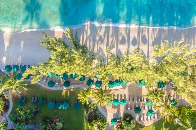 Coral Reef Club 1 (5)
