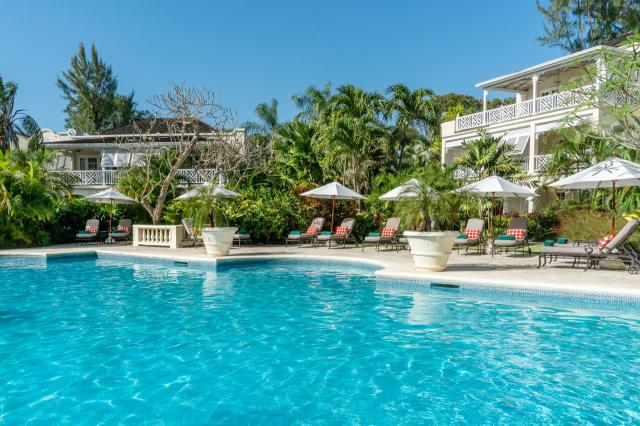 Coral Reef Club 1 (6)