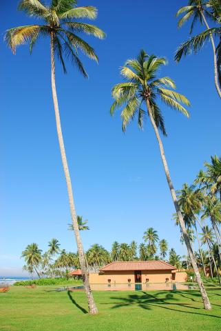 sri-lanka-jetwing-lighthouse-10-35