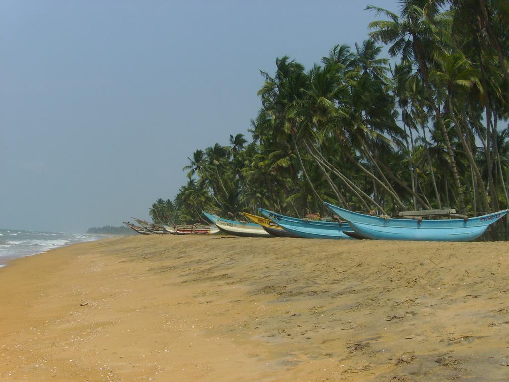 Sri-Lanka-Serene-Pavilions-plaz-1175.JPG