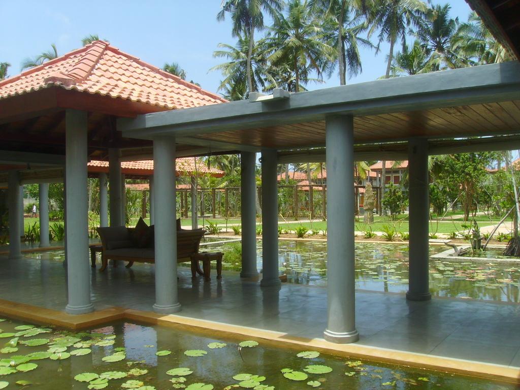 Sri-Lanka-Serene-Pavilions-resort-11120.JPG