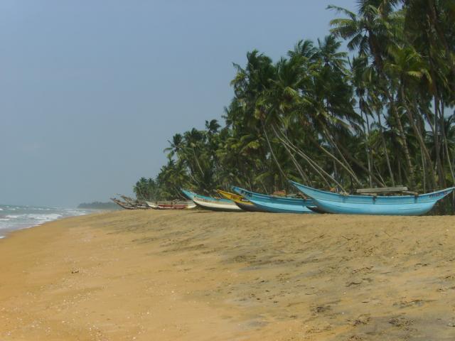 Sri-Lanka-Serene-Pavilions-plaz-1175.JPG