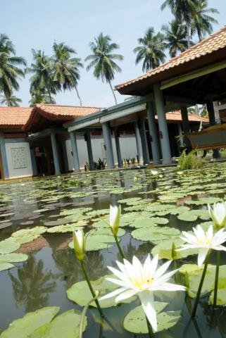 Sri-Lanka-Serene-Pavilions-1135.JPG