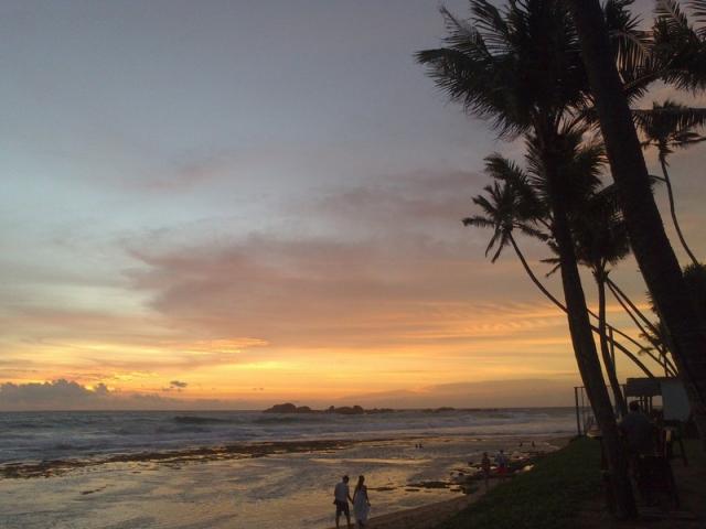 Sri-Lanka-Citrus-Hikkaduwa-16115