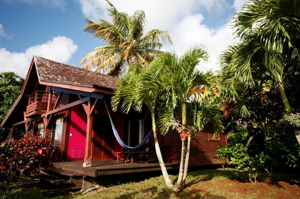 Guadeloupe_Le_Jardin_Malanga_02