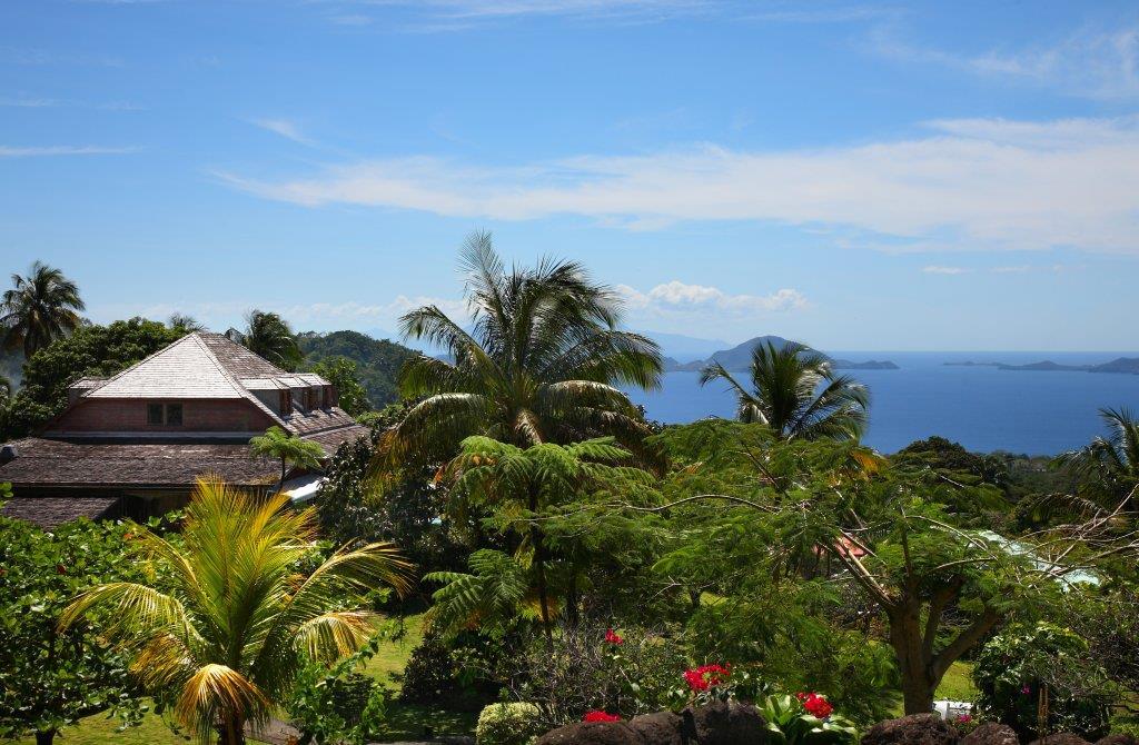 Guadeloupe_Le_Jardin_Malanga_13