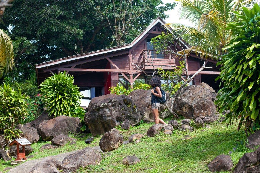 Guadeloupe_Le_Jardin_Malanga_03