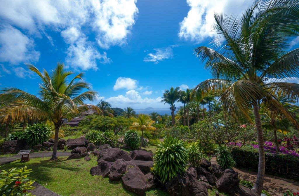 Guadeloupe_Le_Jardin_Malanga_04