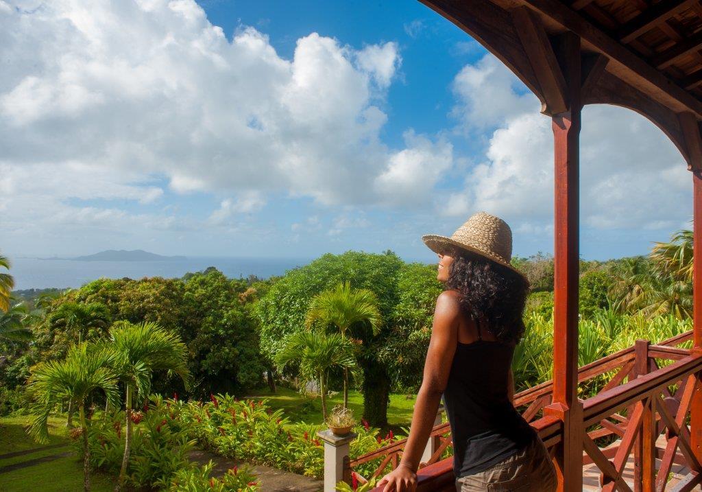 Guadeloupe_Le_Jardin_Malanga_07