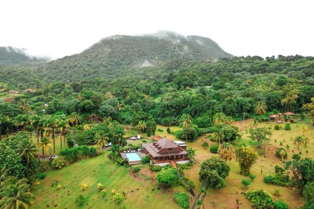Guadeloupe_Le_Jardin_Malanga_15