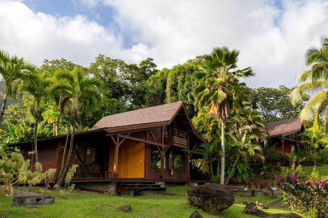 Guadeloupe_Le_Jardin_Malanga_18