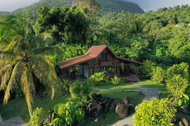 Guadeloupe_Le_Jardin_Malanga_21