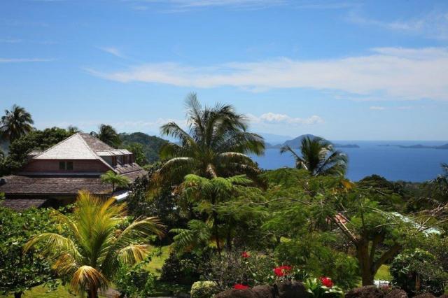 Le Jardin Malanga 3 (5)