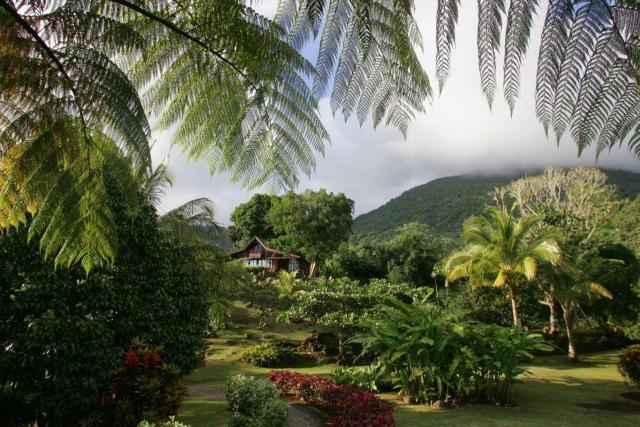 Le Jardin Malanga 3 (6)