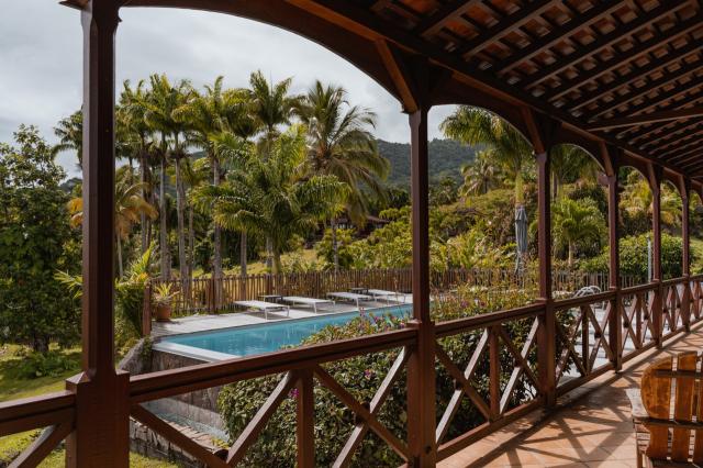 Le Jardin Malanga 5 (6)