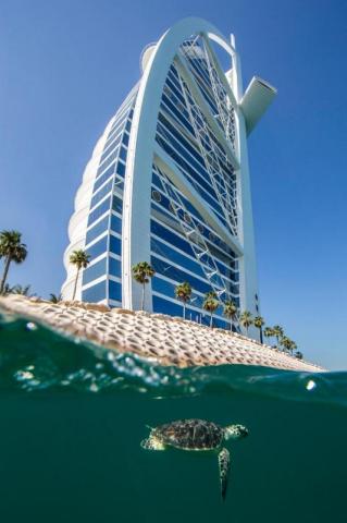Burj Al Arab 1 (4)