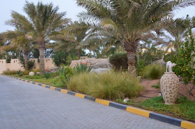 Umm Al Quwain Beach (9)