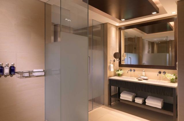 Anantara Dubai The Palm 9 FAM DLX (7)