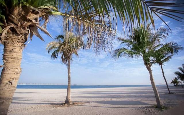 JA Palm Tree Court 1 (15)