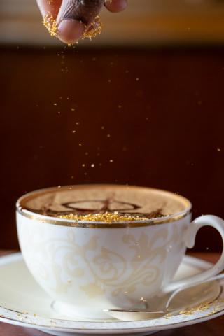 MO Emirates Palace (10)