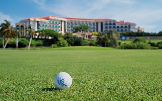 Melia Las Americas  (7)