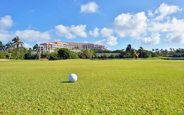 Melia Las Americas  (9)