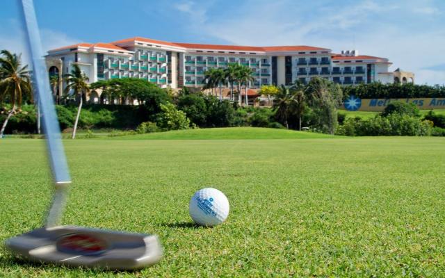 Melia Las Americas  (4)
