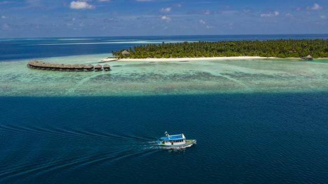DJI_0441