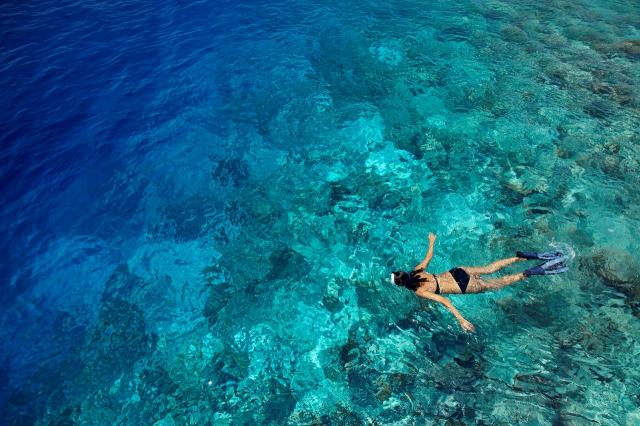 Dusit Thani Maldives 4 (4)