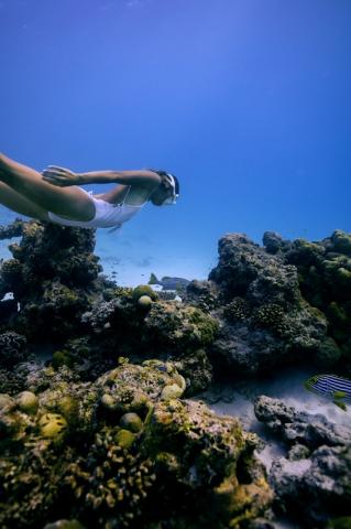 Dusit Thani Maldives 4 (6)