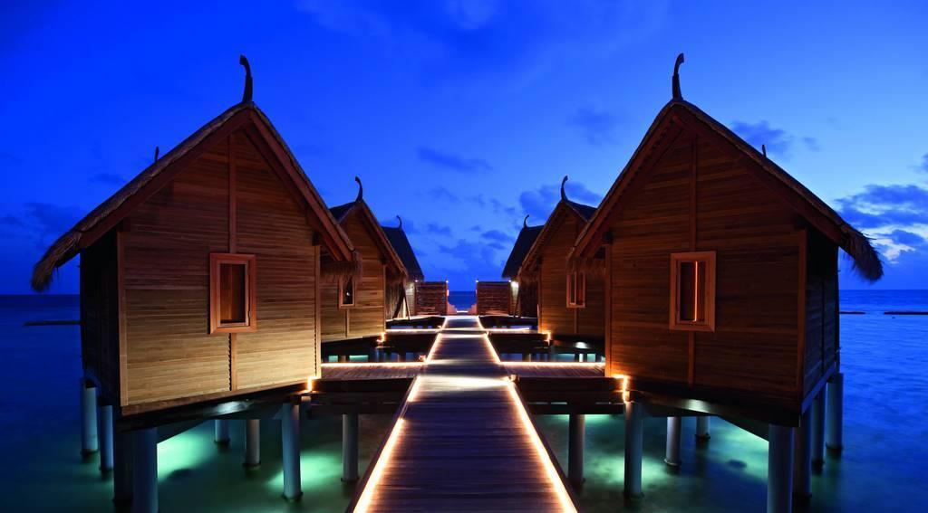 Constance Moofushi ext1 (15)