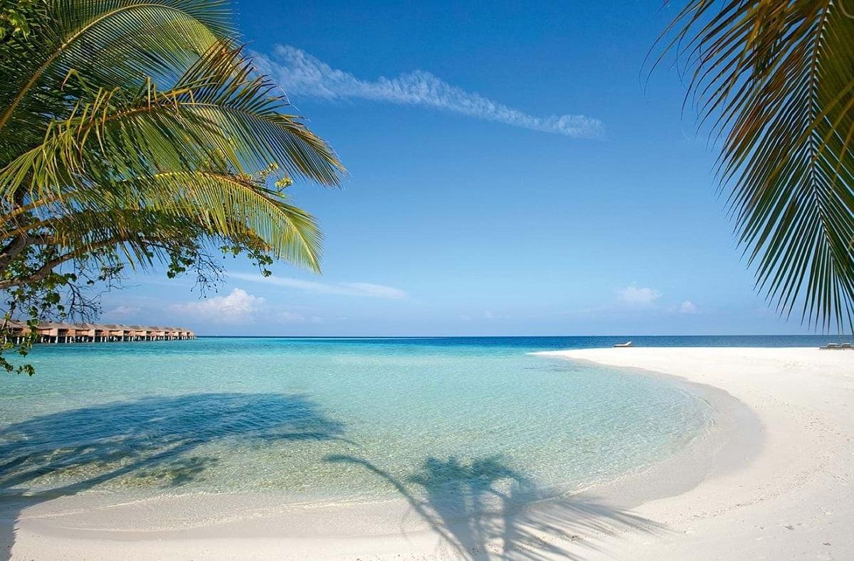 Constance Moofushi ext1 (22)