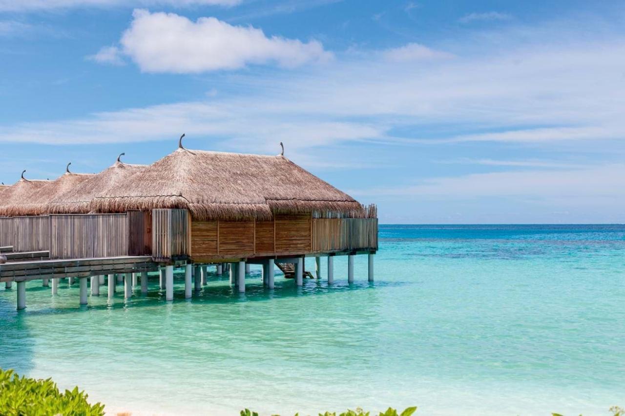Constance Moofushi r3-water v (1)