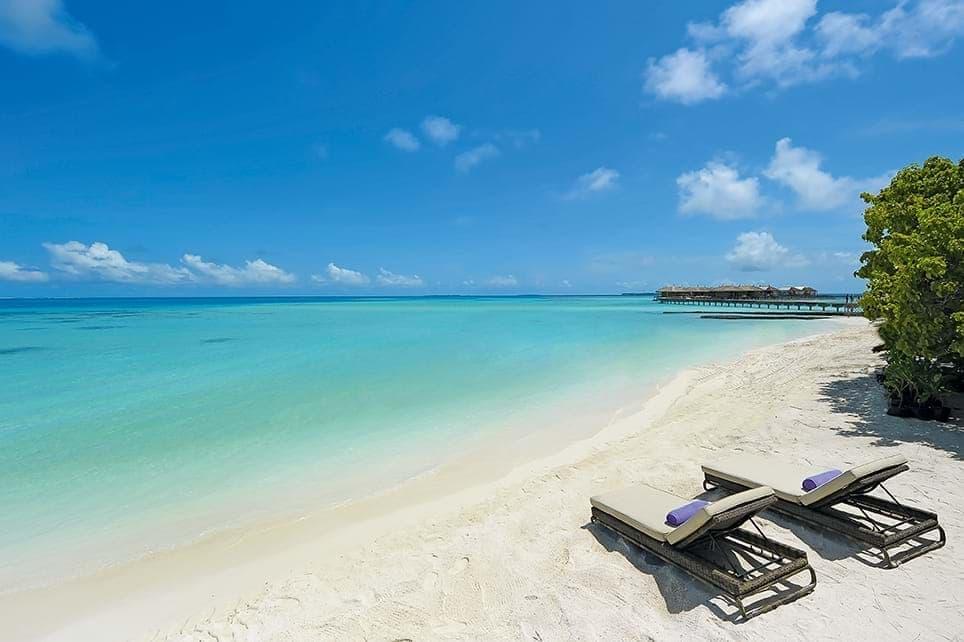 Constance Moofushi ext1 (19)