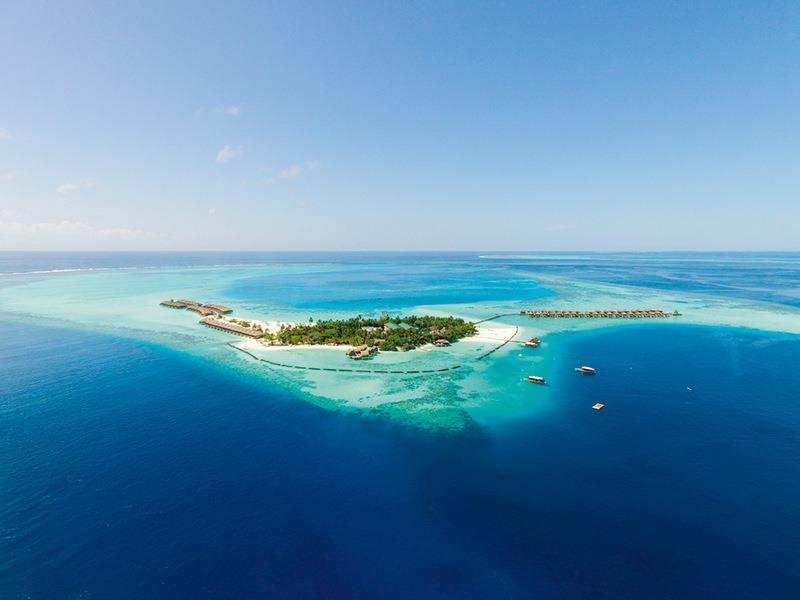 Constance Moofushi ext1 (2)