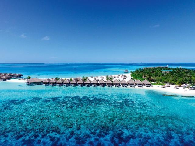 Constance Moofushi ext1 (8)