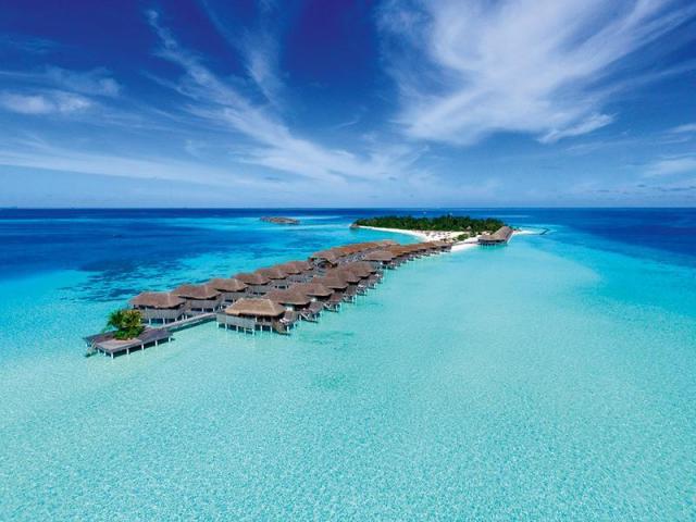 Constance Moofushi ext1 (13)
