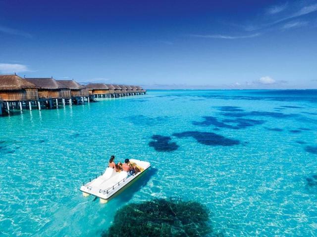 Constance Moofushi fac1 (13)