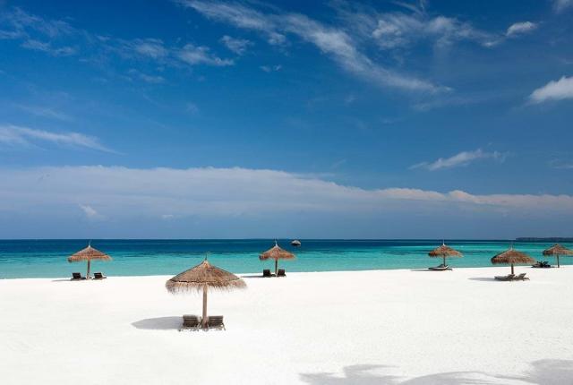 Constance Moofushi ext1 (24)