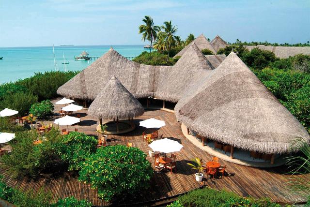 Coco Palm ext14