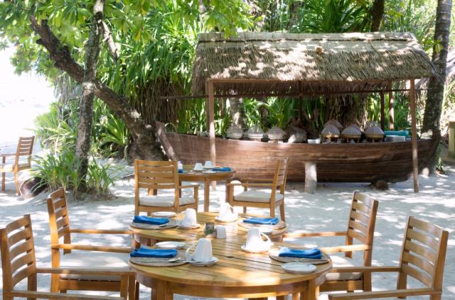Coco Palm food4 (1)