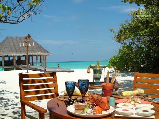 Coco Palm food4 (3)