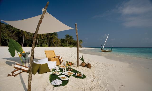 Coco Palm food6
